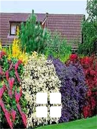 All shrubs