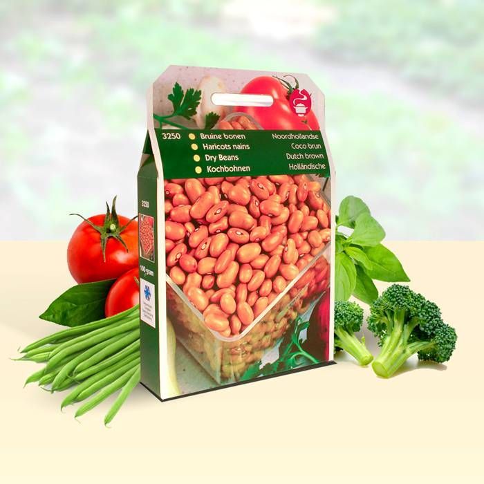 Buy Dry Beans (Dutch Brown) affordable Gardens4You.eu