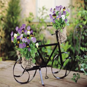 Viola Cornuta Fiets