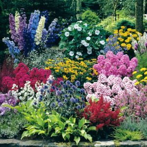 Cottage Garden new