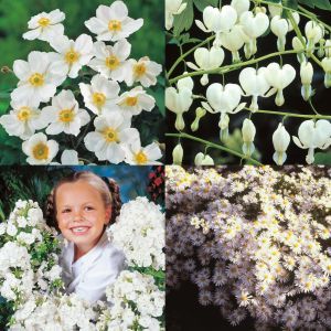 De Witte Tuin Collectie x 10