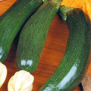 Zucchini Diamond