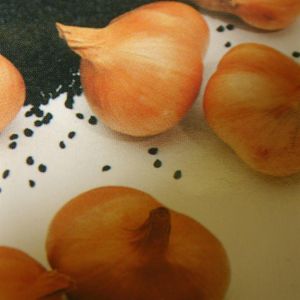 Zaai Sjalot Creation