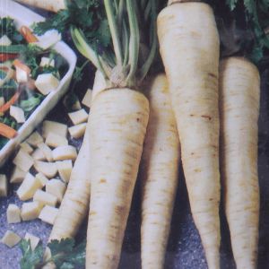 Wortelpeterselie ( Halflang )