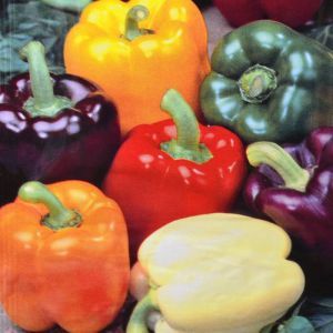 Paprika zaad (5 Kleurenmengsel)