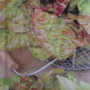 Leaf Lettuce American