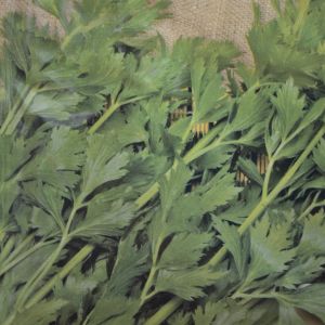 Snijselderie Zaad Gewone Snij