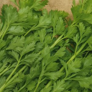 Snijselderie Zaad Gewone Snij