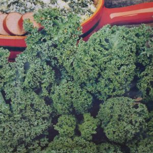 Boerenkool Zaad Westlandse Late Herfst