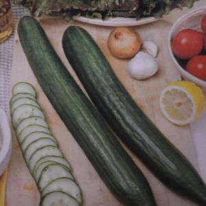 Kaskomkommerzaad Confida F1