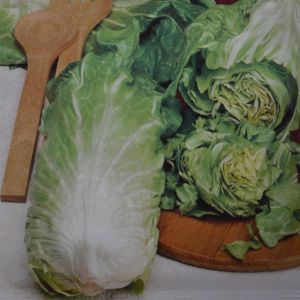 Groenlofzaad Vroege Zelfsluitende