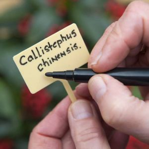 10 Plant T Labels With Pen