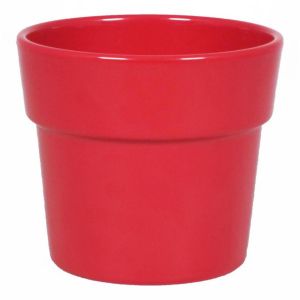 Orchidee Pot Bessenrood