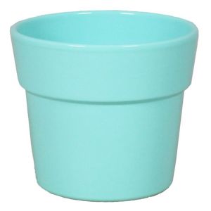 Orchidee Pot Mint Groen