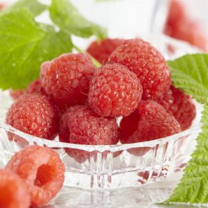 Rubus idaeus Malling Promise 17 cm pot