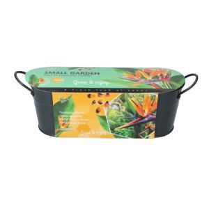 Bird of Paradise Flower 085459