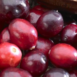 Veenbes Vaccinium macrocarpon