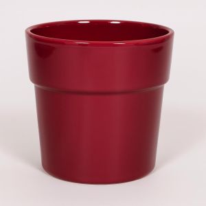 Orchidee Pot Donkerrood